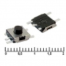 Кнопка тактовая: TS016D push (off) (6x6x3.8)                       
