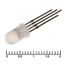 Светодиод: 5 RBG 400-700 mcd 2-3,4v                          