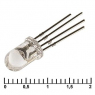 Светодиод: 5 RBG 500-1000 mcd 2-3,4v                         