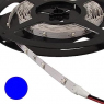 Светодиодная лента: 3528 150LED IP33 12V*12W BLUE                     