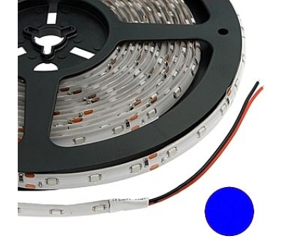 Светодиодная лента: 3528 300LED IP65 12V*24W BLUE Светодиодная лента: 3528 300LED IP65 12V*24W BLUE