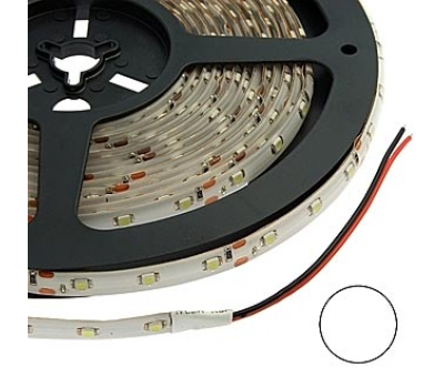 Светодиодная лента: 3528 300LED IP65 12V*24W WHITE Светодиодная лента: 3528 300LED IP65 12V*24W WHITE