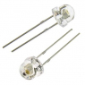 Светодиод: NG-5049EW4CN 1800-2200 mcd                        