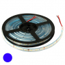 Светодиодная лента: 2835 300LED IP68 12V BLUE                         