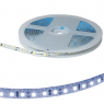 Светодиодная лента: S-2835 300LED IP65 12V WHITE                      