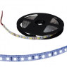 Светодиодная лента: 5050 300LED IP33 12V WHITE                        