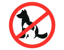 Информационный знак: С животными вход запрещен 150х150                 