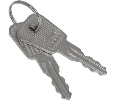 Ключ - выключатель: SK25-03A key Ключ - выключатель: SK25-03A key