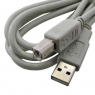Компьютерный шнур: USB-B M  USB-A M 1.8m                             