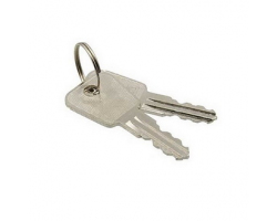 Ключ - выключатель: SK25-03A key