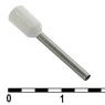 Наконечник: DN10012 white (4.5x12mm)                          
